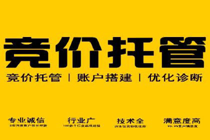 竞价广告的背后力量：某知名企业选择竞价推广公司的智慧